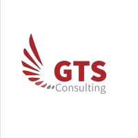 Gaafele TS. Consulting logo - Similar company to Figture