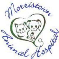 Morristown Animal Hospital logo - Similar company to Morristown Parking Authority
