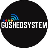 Gushed Electronics & Automation System
