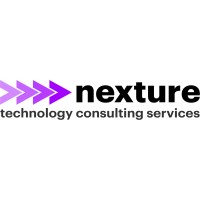 Nexture logo - Similar company to Optimum Arge
