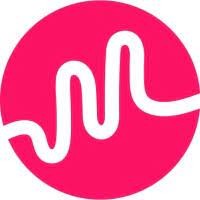 Muffle logo - Similar company to Resonics