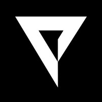 Platige Image logo - Similar company to Sky Engine Ai