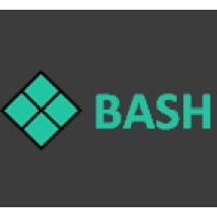 BASH Consulting Services logo - Similar company to Bashr Consulting