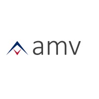 AMV - American Millennium Visionaries logo - Similar company to Aeronyde Corporation