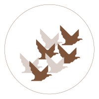 Safe Journey logo - Similar company to Key2Quality