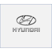 Corporate Sales Hyundai Nepal logo - Similar company to Autoemag
