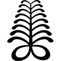 Protean Creatives International