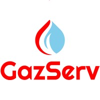 GazServ - ProACTIVE Geosteering Services logo - Similar company to Urdu Nama