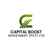Capital Boost Investment logo - Similar company to Elitfirm Llc