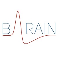 B-Rain Ark logo - Similar company to Optisi Ltd