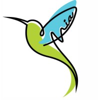 Mid-South Immigration Advocates, Inc. logo - Similar company to Y17 Inc