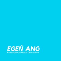 EGEŃ ANG logo - Similar company to Yaroslavna