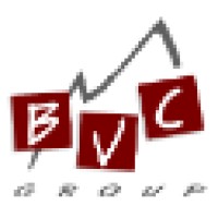 Bvc Group