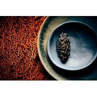 Velikiy logo - Similar company to Harry Miller Co