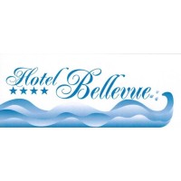 Hotel Bellevue logo - Similar company to Duckpage