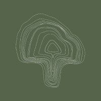 Scandi Shrooms logo - Similar company to Some Say Studio