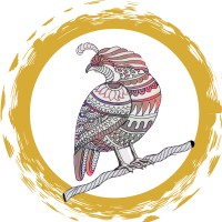 DecoyCreative logo - Similar company to Infinite Spaces