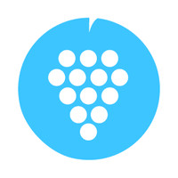 GrapeHub logo - Similar company to Fairconnection B.V.