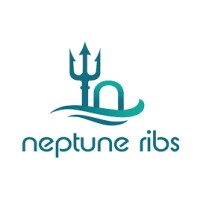 Neptune Ribs Ltd logo - Similar company to Neptune Nautical Comfort