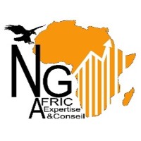 NG Afric Expertise et Conseil logo - Similar company to Cabinet Qadec