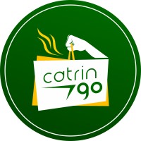 Catringo logo - Similar company to Nadic Engineering Services