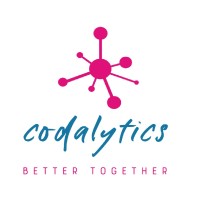 Codalytics Consultancy logo - Similar company to Viare