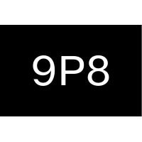 Nine Point Eight logo - Similar company to Aurora Orchestra