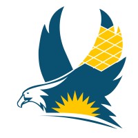 Eagle Solars logo - Similar company to Executive Solution Tech