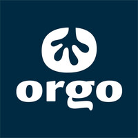 Orgo logo - Similar company to Surf Engineering Association