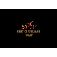 Femtiosjuelva logo - Similar company to Dfs