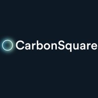CarbonSquare logo - Similar company to Bg Advisors