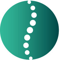 Austin Integrative Spine logo - Similar company to Natural Sciences Council, Ut Austin