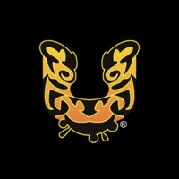 Línea 146 logo - Similar company to Hqu
