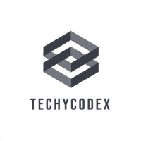 TechyCodex logo - Similar company to Bnext It Solutions