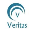 veritas invento services logo - Similar company to Awakeh