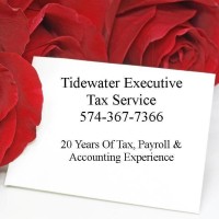 Tidewater Executive Tax Service logo - Similar company to Bca Environmental Consultants, Llc
