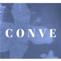 Conve logo - Similar company to Ternary Intelligence