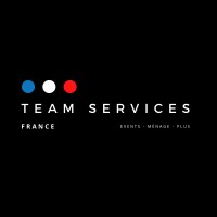 TEAM SERVICES FRANCE logo - Similar company to Webind