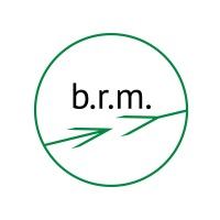 b.r.m. IT & Aerospace logo - Similar company to Wrighton Aviation