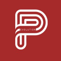 Peaceful Evolution logo - Similar company to Dstelecom