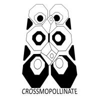 Crossmopollinate logo - Similar company to Campus Caravan