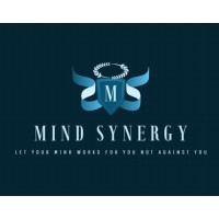 Mind Synergy Solutions logo - Similar company to Nomiea
