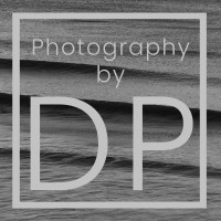 Photography by Drew Pyper logo - Similar company to Light & Magic Photography