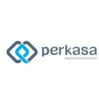 PGN Perkasa logo - Similar company to Pgncom