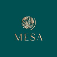 Mesa Lille logo - Similar company to Copilhost