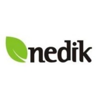 Nedik