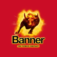 BANNER BATTERIES (GB) LIMITED logo - Similar company to Eu Linco