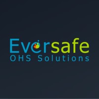 Eversafe OHS Solutions logo - Similar company to Twosb Management Systems