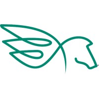 Pegasus Psychiatry Associates logo - Similar company to Bluestone Psychiatry, Pllc
