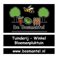 De Bosmantel
